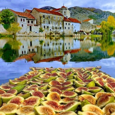 ŽENSKA ZADRUGA KOJA SPAJA TRADICIJU, INOVACIJE I DRU&Scaron;TVENU ODGOVORNOST